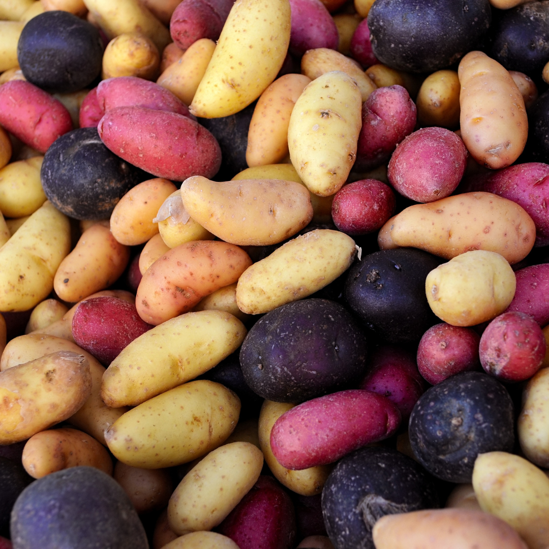 10 lb Box Fingerlings